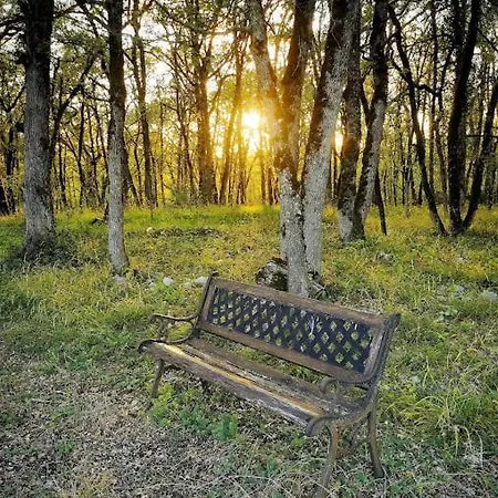 Le Clos Des Dryades S